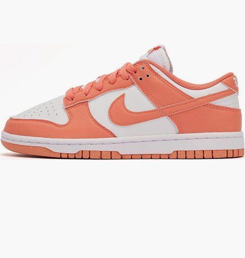 Кроссовки женские Nike Dunk Low Next Nature (DD1873-109) DD1873-109 фото