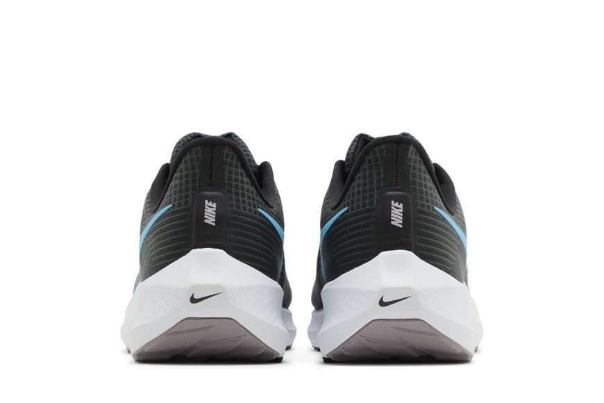 Кроссовки мужские Nike Air Zoom Pegasus 39 Running (DH4071-002) DH4071-002 фото