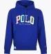 Худі чоловічі Polo Ralph Lauren RL Fleece Logo Hoodie (710890190003) 710890190003 фото 1