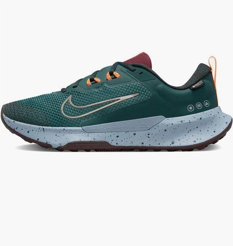 Кросівки чоловічі Nike Juniper Trail 2 GORE-TEX (FB2067-300) FB2067-300 фото
