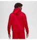 Кофта мужская Jordan Brooklyn Fleece Carbon (FV7281-687) FV7281-687 фото 4