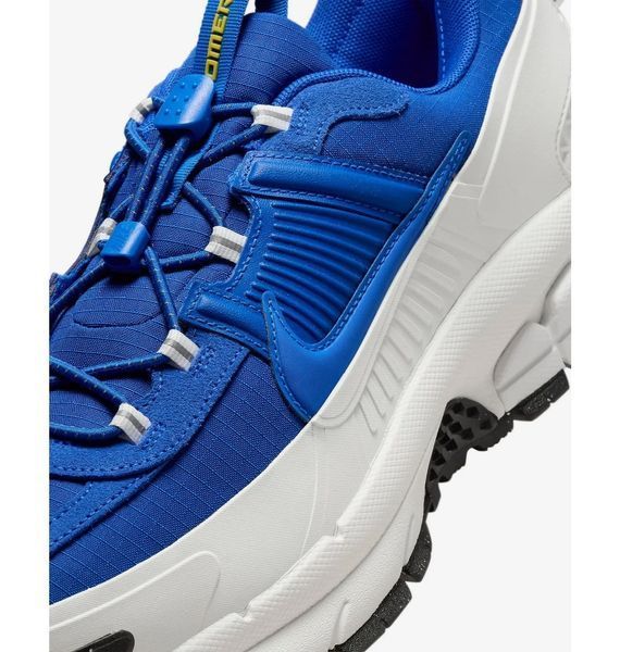 Кроссовки мужские Nike Zoom Vomero Roam (FV2295-400) FV2295-400 фото