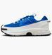 Кроссовки мужские Nike Zoom Vomero Roam (FV2295-400) FV2295-400 фото 1