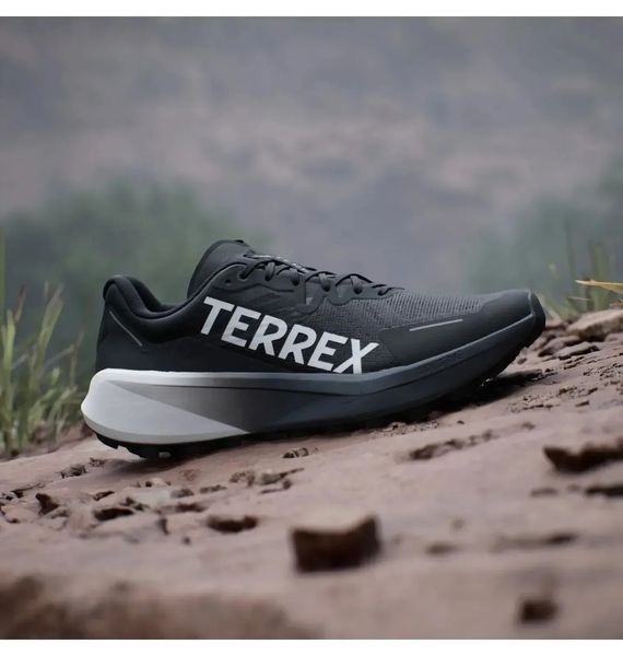 Кросівки чоловічі Adidas Terrex Agravic 3 (ID0343) ID0343 фото
