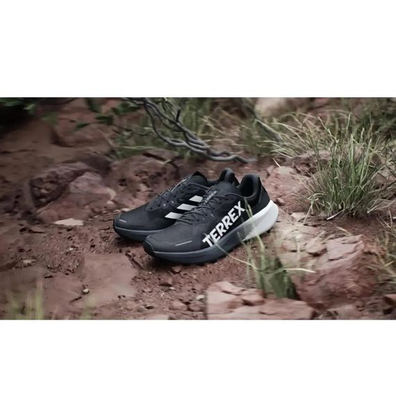 Кросівки чоловічі Adidas Terrex Agravic 3 (ID0343) ID0343 фото