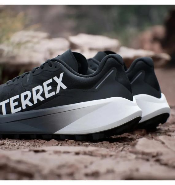 Кросівки чоловічі Adidas Terrex Agravic 3 (ID0343) ID0343 фото