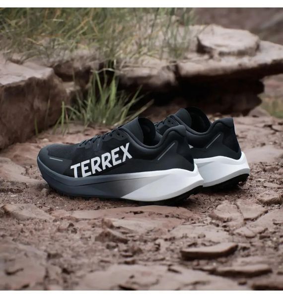 Кросівки чоловічі Adidas Terrex Agravic 3 (ID0343) ID0343 фото