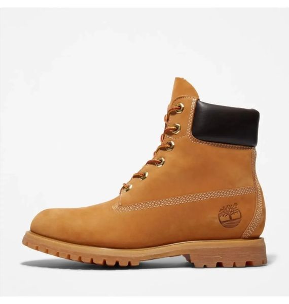 Черевики жіночі Timberland Premium 6-Inch Waterproof Boot (TB010361713) TB010361713 фото