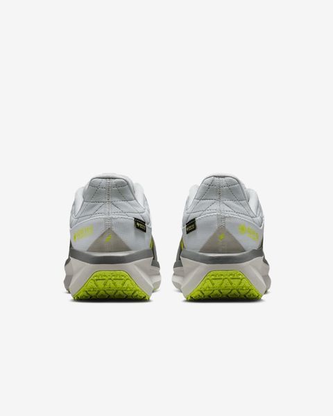 Кросівки чоловічі Nike Winflo 11 Gore-Tex (FQ1358-005) FQ1358-005 фото