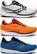 Кросівки чоловічі Saucony Ride 14 (S20650-71) S20650-71 фото 1