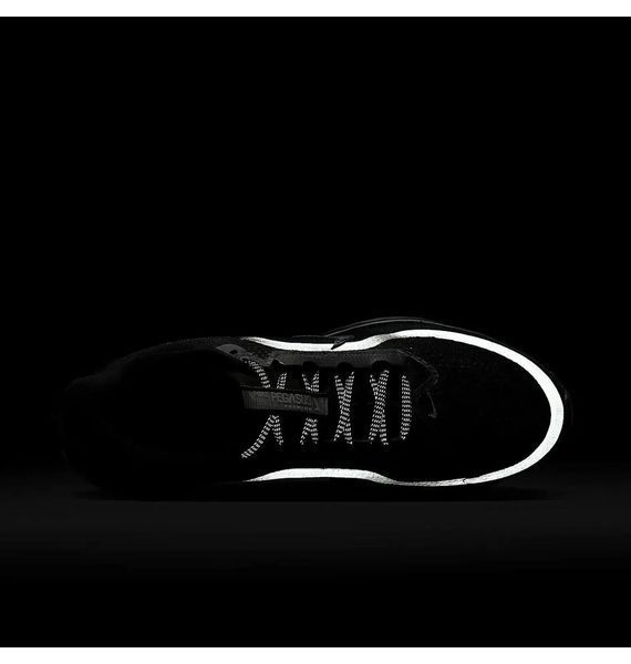 Кросівки чоловічі для бігу Nike Pegasus Premium (HQ2592-005) HQ2592-005 фото