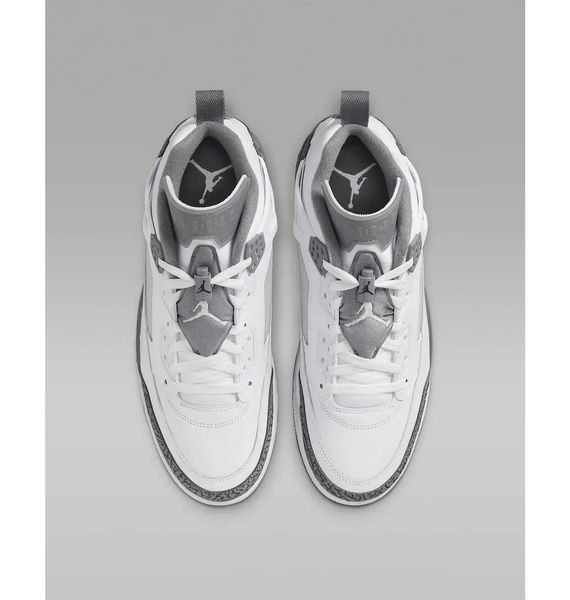 Кроссовки мужские Nike Air Jordan Spizike Low (FQ1759-102) FQ1759-102 фото