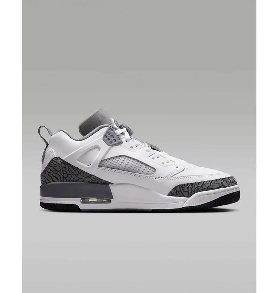 Кроссовки мужские Nike Air Jordan Spizike Low (FQ1759-102) FQ1759-102 фото