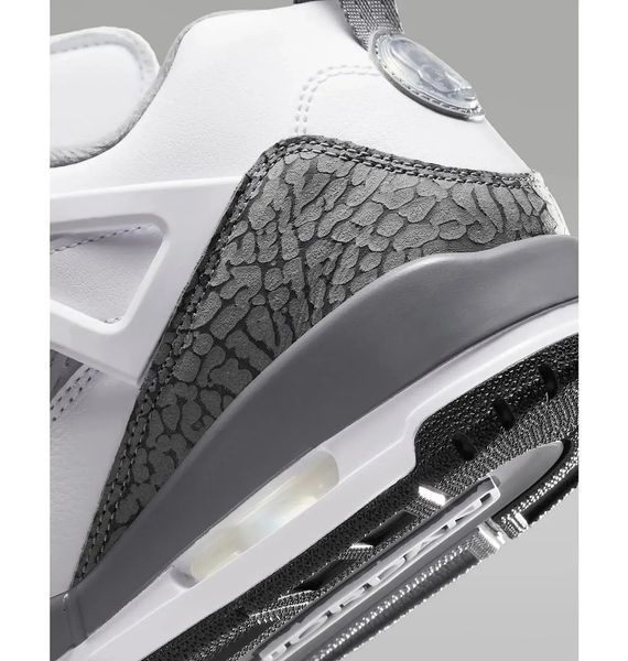 Кроссовки мужские Nike Air Jordan Spizike Low (FQ1759-102) FQ1759-102 фото