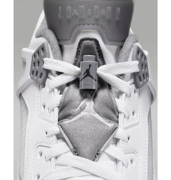 Кроссовки мужские Nike Air Jordan Spizike Low (FQ1759-102) FQ1759-102 фото