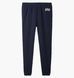 Джоггеры мужские Gap Logo Joggers Blue (659229011) 659229011 фото 1