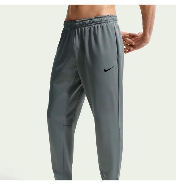 Брюки мужские спортивные Nike M NK TF Flex FLC Jogger (IM5444-084) IM5444-084 фото