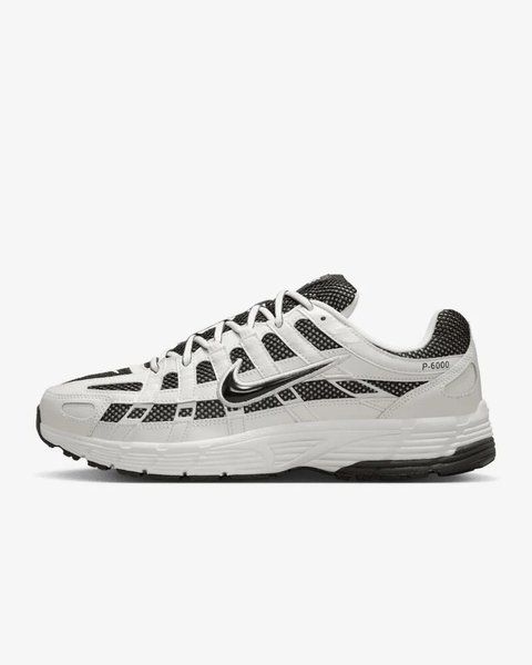 Кросівки чоловічі Nike P-6000 (IO8711-101) IO8711-101 фото