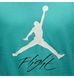Футболка мужская Jordan Jumpman Flight (AO0664-392) AO0664-392 фото 4
