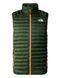Жилет чоловічий The North Face Bettaforca Down Vest (NF0A7Z8HI0P) NF0A7Z8HI0P фото 1