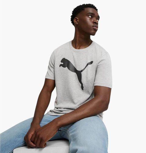 Футболка мужская PUMA EES BIG LOGO-TEE (678890-03) 678890-03 фото