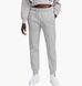 Брюки жіночі Nike Sportswear Phoenix Fleece (FZ7626-063) FZ7626-063 фото 1