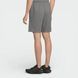 Шорти чоловічі The North Face Short Evolution Emb grey (NF0ABCWWCQI) NF0ABCWWCQI фото 3