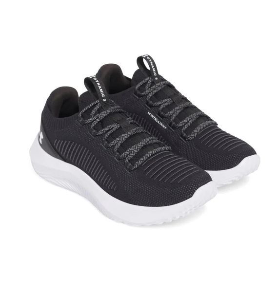 Кроссовки мужские Under Armour Ua Dynamic 2 (3028076-002) 3028076-002 фото